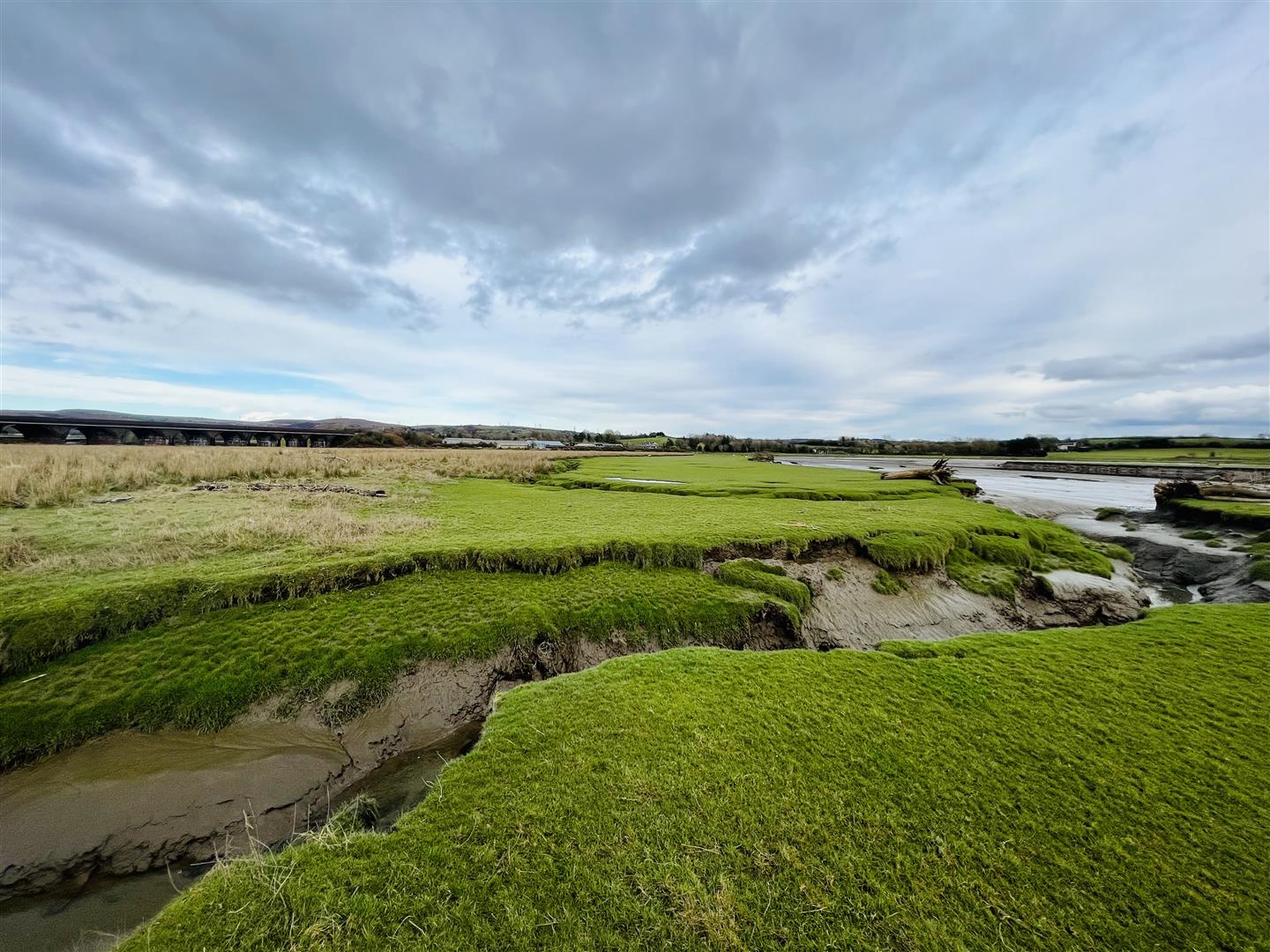 Llangennech, Nr Llanelli BJP Residential